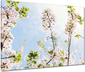 Vászonkép 80x60 Virágok