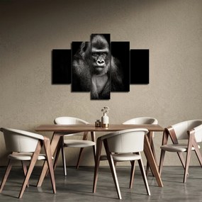Kép - Gorilla (150x105 cm)