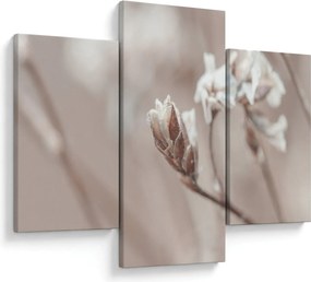 Kép - Ág részlet (90x60 cm)