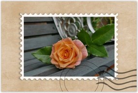 Poszterek 90x60 Rózsa Virág Virágok Rózsa