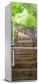 Matrica hűtőre Lépcsők az erdőben FridgeStick-70x190-f-62056285
