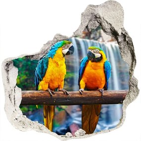 3d lyuk fal dekoráció Papagájok, elágazik nd-p-73798954