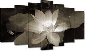 Vászonkép 140x80 Lótusz Lótuszvirág