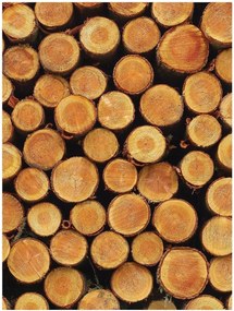 Fotótapéta Deszka Fa Optikai Utánzat 184x254