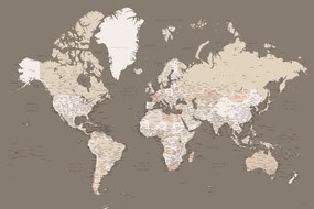 Térkép Earth tones detailed world map with cities, Blursbyai