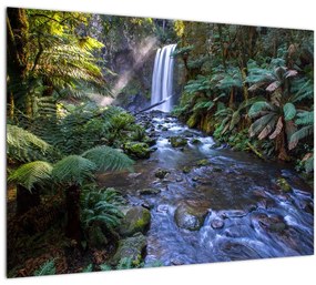 Ausztrál esőerdő képe (üvegen) (70x50 cm)
