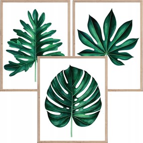 Monster poszter, növĂ©nyi motĂvum, levelek, hĂĄlĂłszoba, nappali, dolgozĂłszoba 30x40