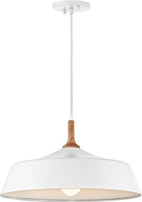 Kichler DANIKA KL-DANIKA-P Függőlámpa 1x60W/E27
