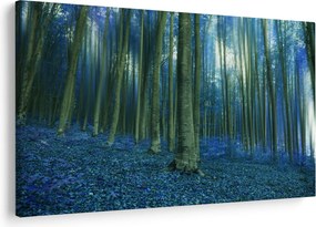 Kép - Kék erdő (90x60 cm)
