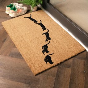 Kókuszrost lábtörlő 40x60 cm Jumping Cats – Artsy Doormats