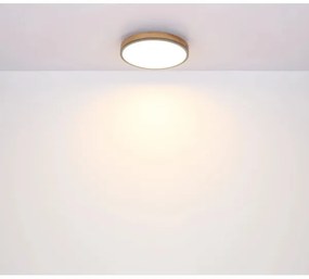 Globo 416080WD4R-CCT - LED Dimmelhető mennyezeti lámpa DORO LED/40W/230V 2700-6500K + távirányító