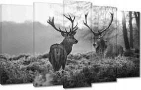 Vászonkép 100x60 Fekete-fehér szarvasok