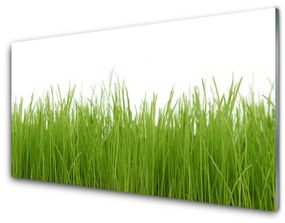 Fali üvegkép Grass Nature Plant 100x50 cm 2 fogas