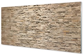 Akrilkép Tégla fal kő 100x50 cm