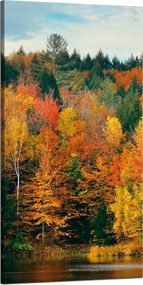 Vászonkép Színes Levelek Fák Ősz Természet 60x120 cm