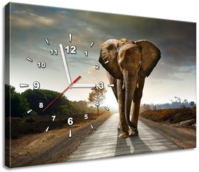Gario Órás falikép Magányos eros elefánt Méret: 60 x 40 cm