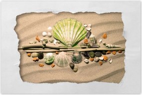 Poszterek 90x60 Lime kagyló Balti-tenger