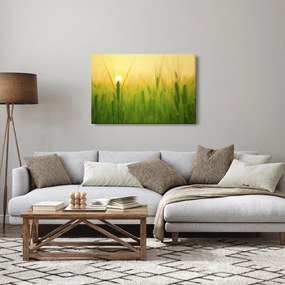 Kép - Mező gabonával (90x60 cm)