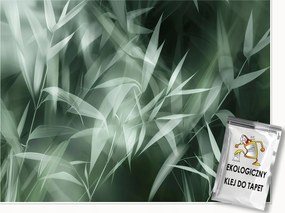 Fotótapéta Levelek Absztrakt Hálószoba Nappali Tapéta Flizelina 250x175