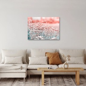 Kép - Réti virágok (70x50 cm)