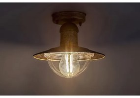 Brilagi - Kültéri mennyezeti lámpa MOLDE 1xE27/60W IP44 bronz/patina