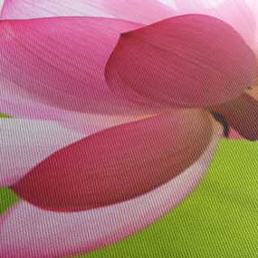 Lótuszvirág kép (120x50 cm)