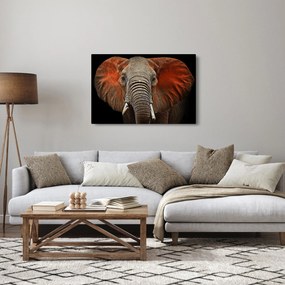 Kép - Elefántok Tsavóval (90x60 cm)