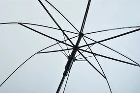Transparent white umbrella