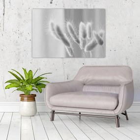 Kép - Nyuszi farok fű (90x60 cm)