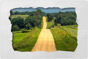 Poszterek 120x80 Út Rét Mező Erdő