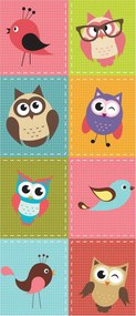 Fotótapéta Madarak Baglyok Színes négyzetek a gyerekszobába 91x211 +ragasztó