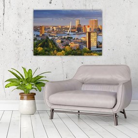 Kép - panoráma Rotterdam, Hollandia (90x60 cm)