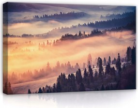 Vászonkép 60x40 Ködös erdő reggeli köd hegyek hajnal természet nyugalom