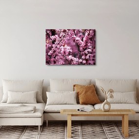 Üveg kép - Rózsaszín sakura (70x50 cm)