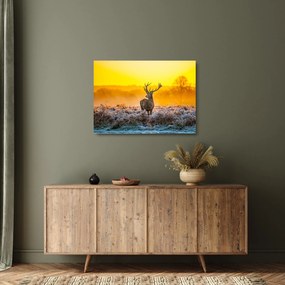 Üveg kép - Szarvas napfelkeltekor (70x50 cm)