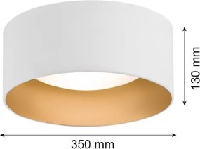 ARGON 703 MOHITO Ernyős Mennyezeti Lámpa Fehér, Arany E27 IP20