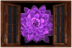 Poszterek 90x60 Találkozás a virággal