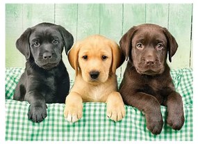 Kutyás Labrador 1000 db-os puzzle Clementoni