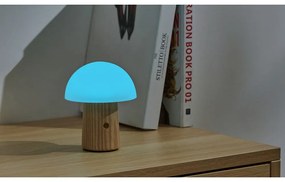 Natúr színű szabályozható asztali lámpa üveg búrával (magasság 13 cm) Alice – Gingko