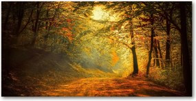 Fotó kép edzett üveg Őszi erdő 140x70