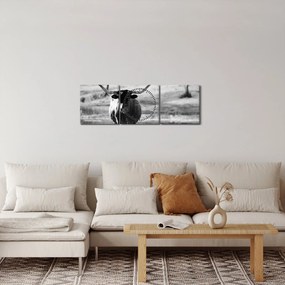 Kép - Tehén, fekete-fehér (órával) (90x30 cm)