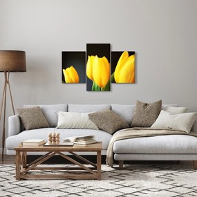 Tulipán képe (90x60 cm)