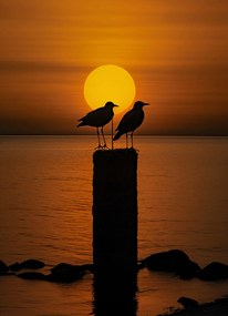 Poszter 20,5x28,4cm Beszélgetések alkonyatkor