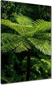 Vászonkép 70x100 Virágok