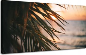 Vászonkép Természet Tengerpart Pálma Tenger Naplemente 120x60