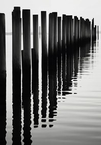 Poszter 68x98cm Víz és fa ritmus