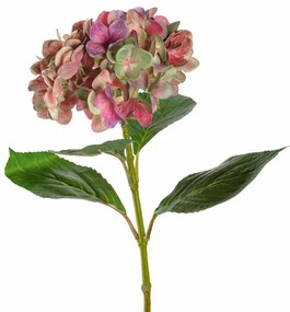 LEONARDO POESIA hortensia 54cm, rózsaszín