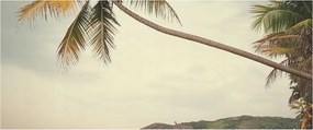Fotótapéta Flizelin Dekoratív Hálószoba Trópusi tájkép 250x104