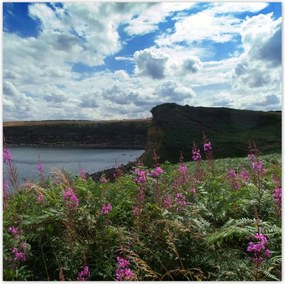 Poszterek 100x100 Lila virágok