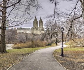 Poszter 60x50cm Ösvény a központi parkon át 3, Assaf Frank